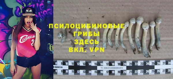 apvp Абдулино