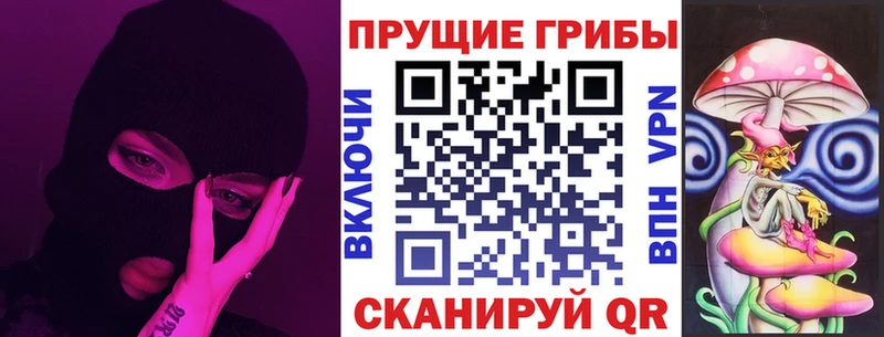 Галлюциногенные грибы Psilocybe  Каменногорск 